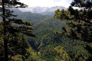 Np_sutjeska_prasuma_perucica_vodopad_skakavac