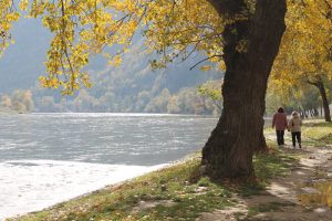 drina 2