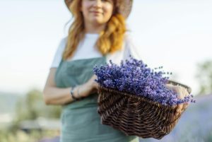 lavanda-pexels-1742917899-821x550