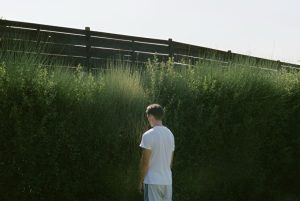 dogtooth-imdb-1744371937-821x550