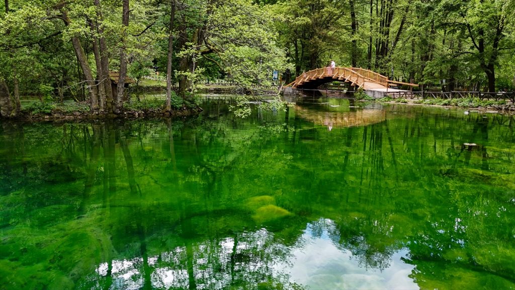 Vrelo Bosne AA