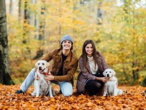 evropski-parlament-predlaze-stroze-mjere-za-zastitu-pasa-i-macaka-young-couple-their-two-golden-labrador-are-walking-autumn-park_6856d11910847
