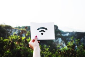 internet-priroda-1750145826-821x550