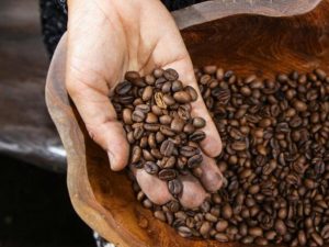 neocekivano-dobra-berba-kafe-u-brazilu-hoce-li-se-mijenjati-cijene-kafa_6842b9ef5e03a