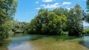 Sarajlije tražile osvježenje u kristalno čistoj vodi malo poznate plaže na Vrelu Bosne