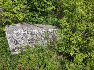 bassania-nekropola-steci-jul2025-3
