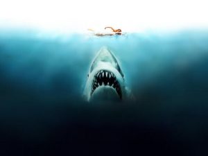 evo-kako-su-ralje-promijenile-nas-pogled-na-more-i-morske-pse-ralje1_6883a30f93edb