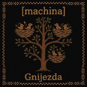 gnijezda