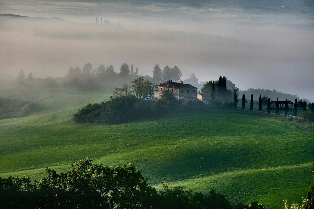 pexels-celeste-tyree-1853954-4579676