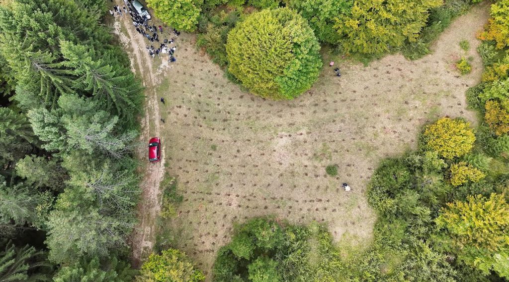 Čista umjetnost - Posađeno 2.500 sadnica za generacije koje dolaze_2