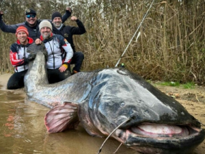 ribari-oborili-svjetski-rekord-upecano-cudoviste-od-skoro-tri-metra-ulovili-zvijer-od-292-centimetra-oboren-svjetski-rekord-10-25-2025-09-35-am_68fc7e0c1036d