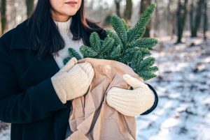 woman-holds-craft-bag-with-christmas-tree-branches-winter-forest-1761555164-821x550
