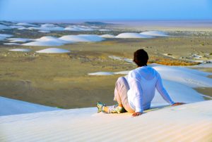 SULTANATE OF OMAN, NIZWA, THE DESERT DE WAHIBAH NEAR THE INDIAN SEA, MR
