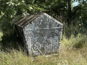 mladi-iz-tri-zemlje-mapirali-vise-od-250-lokaliteta-stecaka-screenshot-2025-11-04-134155_6909f4b2bfefb