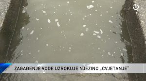 Cvjetanje vode u hidro akumulacijama Jablanica i Modrac - YouTube - Google Chrome 8- 12- 2025- 19_45_19