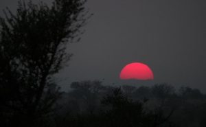 Screenshot 2025-12-12 142901