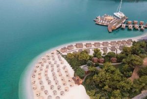 01-1769761124-821x550