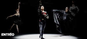 29345_marketing_banner_1522x682_1767786470