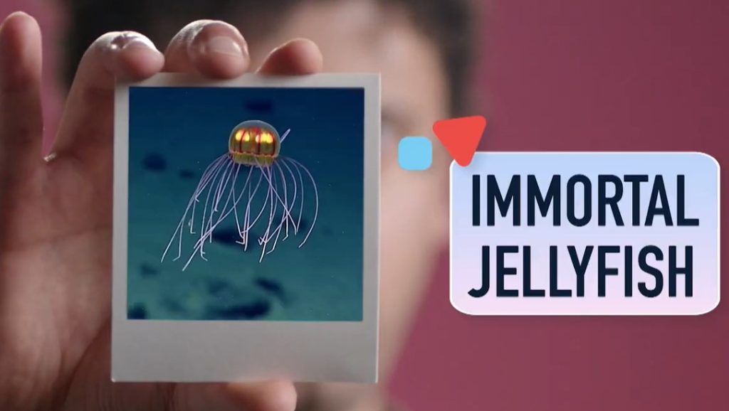 Screenshot 2026-02-08 223952