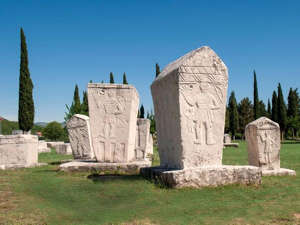 unsa-zastititi-stecke-od-negativnih-utjecaja-klimatskih-promjena-radimlja1_697f1b1d8bf54