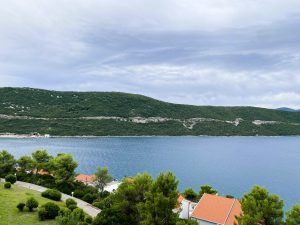 1759844326_Neum_