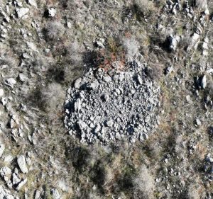 1773048151_m_4ef698b0681878fa607483811deb6ac9