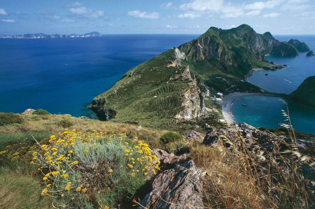 1773777319_profimedia-0133744657