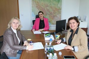 Screenshot 2026-03-19 124905