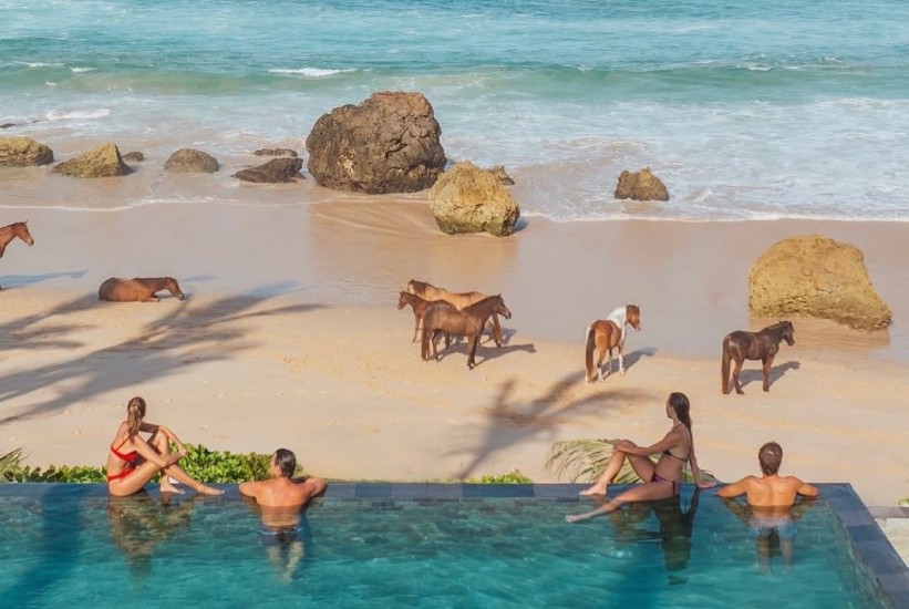 snapinstato-449451754-1185255729277769-1907815788188953766-n-1772965828-821x550