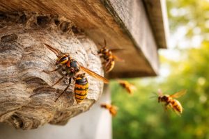 1776691893_b6c39a86-191e-48a8-8cd1-352b99c30dbf