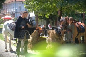 529905374_1254307676740733_8593548326373327911_n