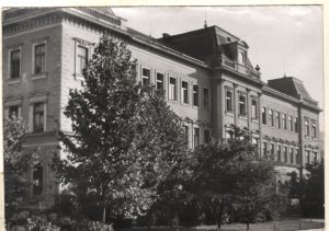 663359329_1249572587374887_7432935907856656553_n