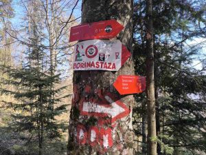 682704464_1606345421495258_894276461315982273_n