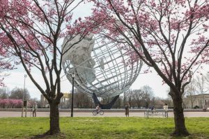 Cherry blossom trees begin blooming in New York