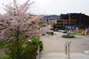 Sunce oblak proljeće behar slana banja