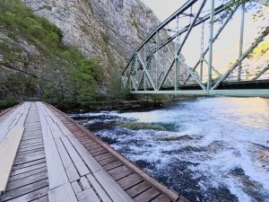 l-9d1e9ae43a130c4195c2e9f7121d1840-1777191366 (1)