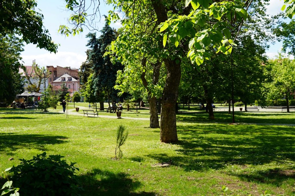 Gradski park sunce