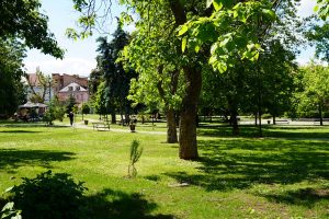 Gradski park sunce