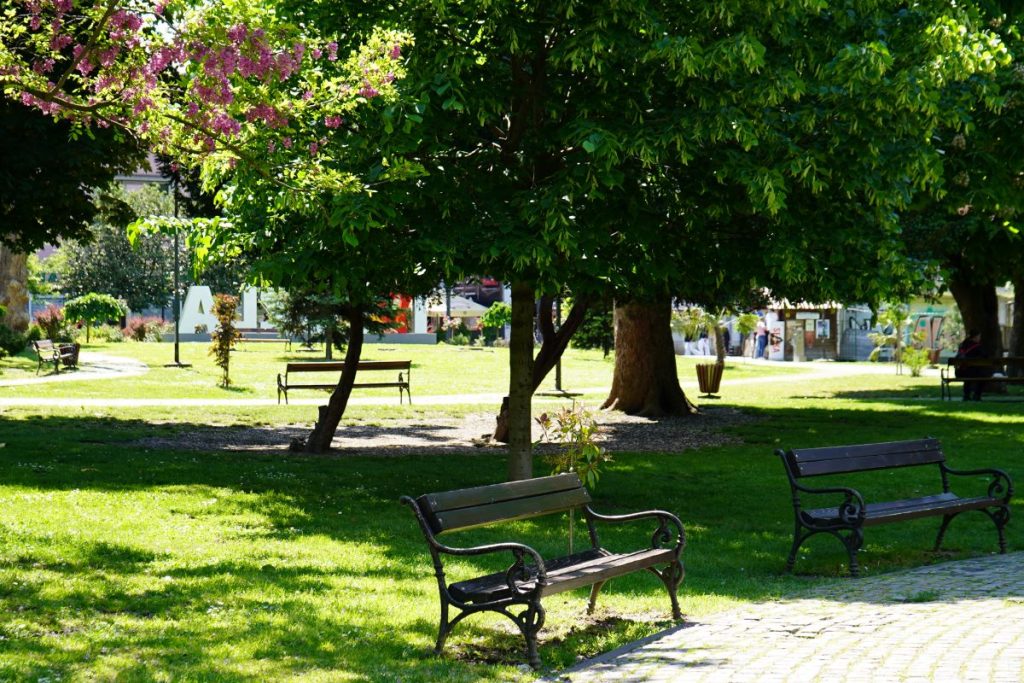 Park klupe sunce