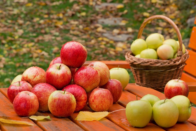 apples-1-scaled-1-1778585740-821x550