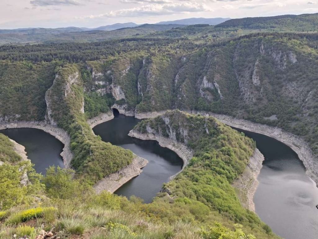 Pestersko polje rezervat Fena