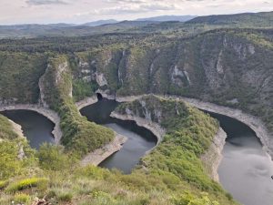 Pestersko polje rezervat Fena