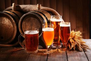 pivo bacve