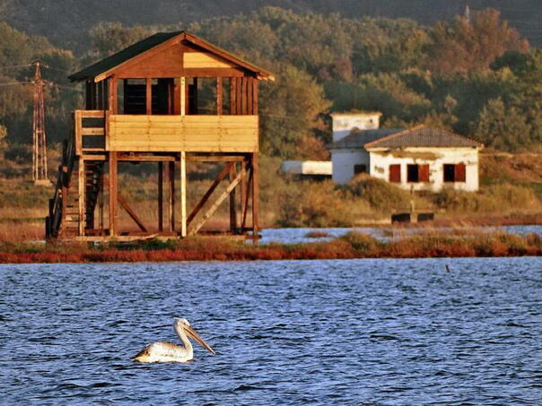 ulcinjska-solana-propada-ugrozeno-jedno-od-najvaznijih-stanista-ptica-u-evropi-ulcinj-solana-3_6a57694971e35