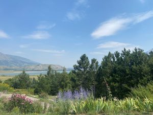 1722625477-image00005
