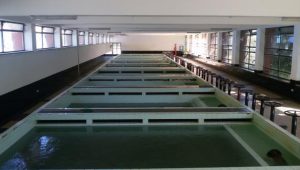 Stupari-2