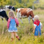 Zašto djeca koja odrastaju na selu rjeđe imaju alergije? Naučnici pronašli važan trag
