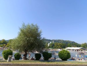 sunce panonsko jezero avgust