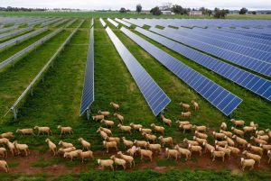 australija-solarna-1-1780221439-821x550
