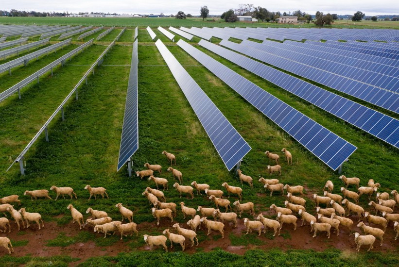 australija-solarna-1-1780221439-821x550